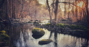 Tar River Trail